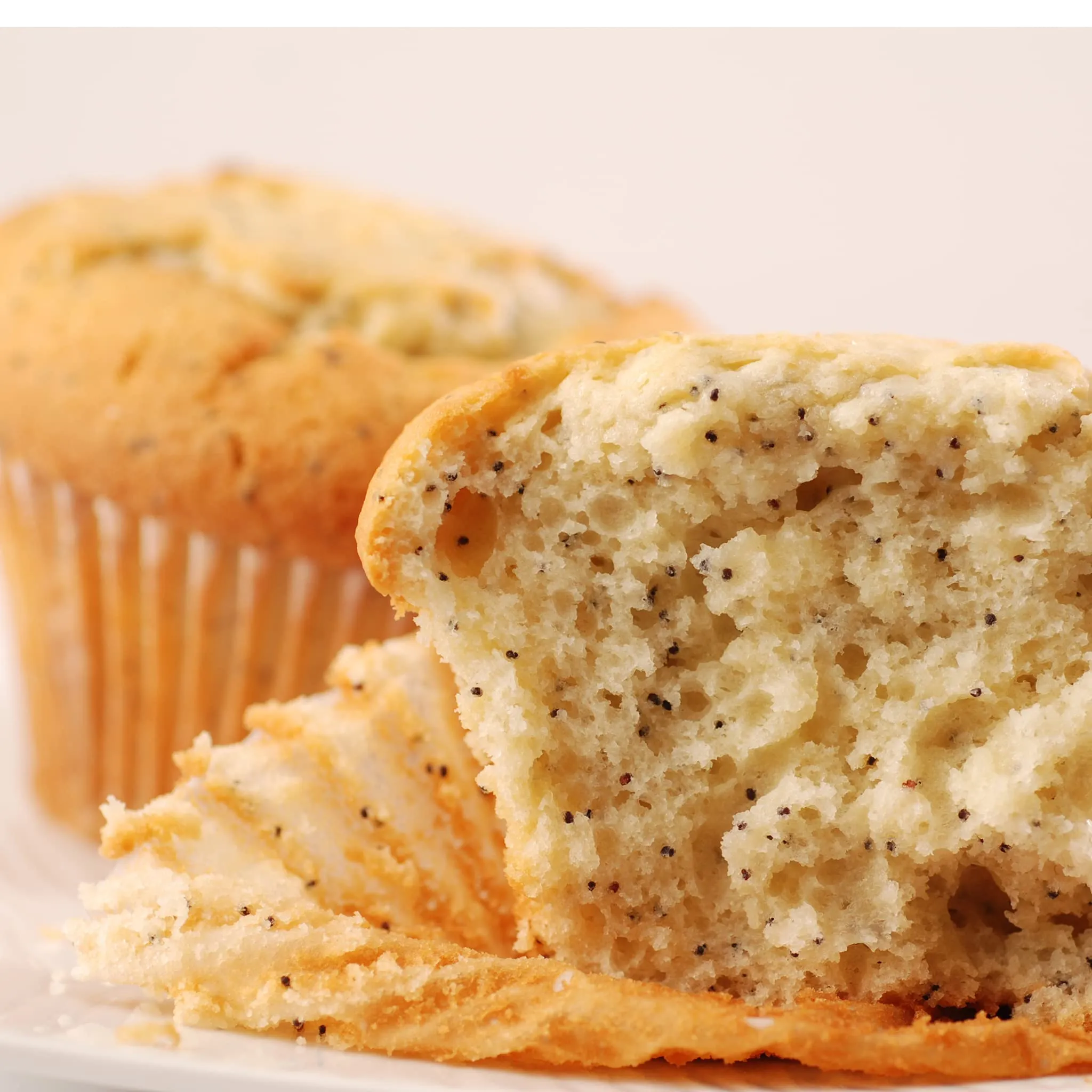 Fresh Baked Muffin and Scone Box of 13 Pieces