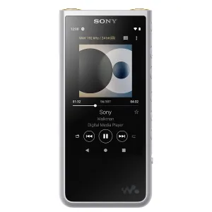 Sony NWZX507 Walkman ZX Series